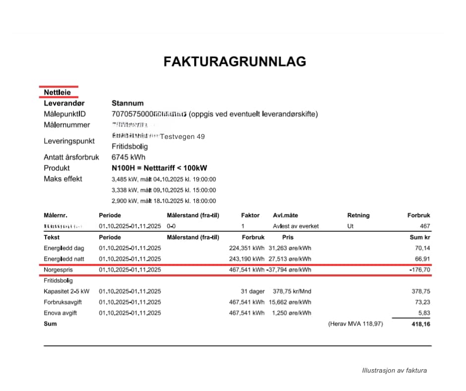 Faktura fra nettselskapet